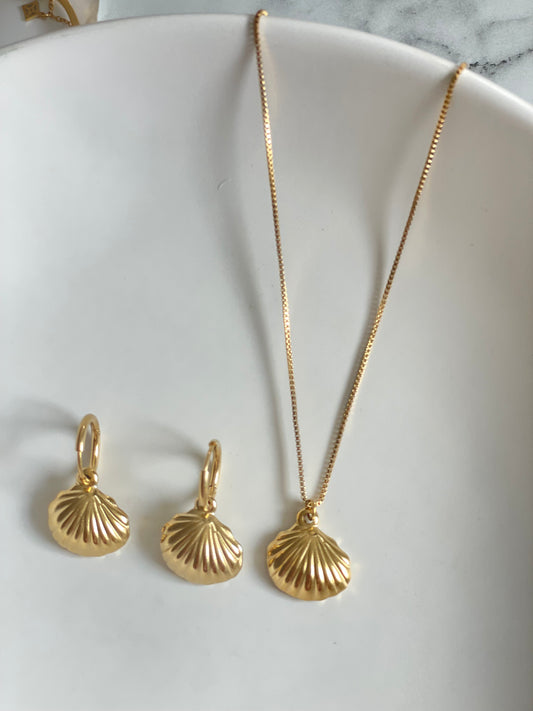 Ensemble coquillages
