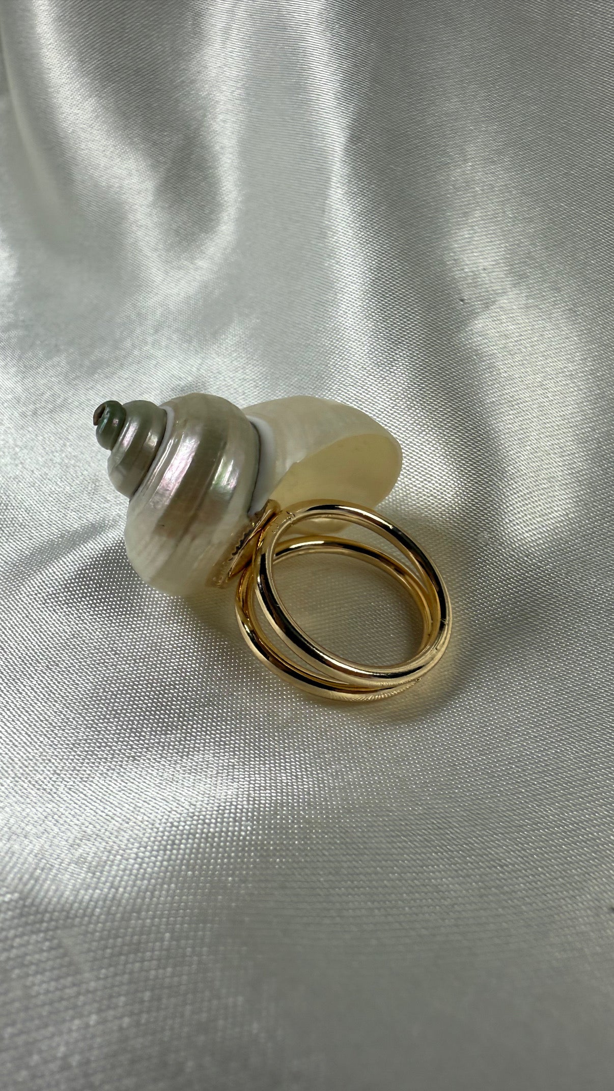 Bague coquille