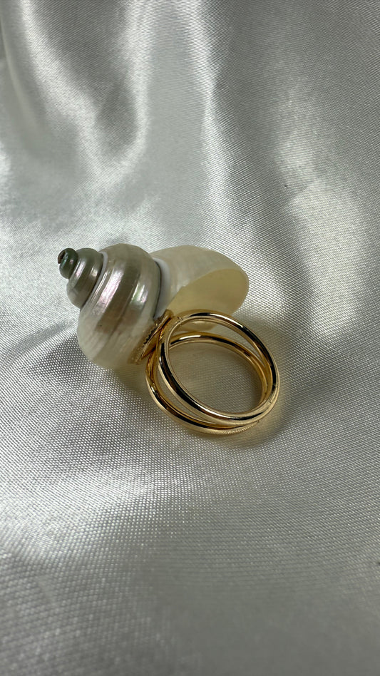 Bague coquille